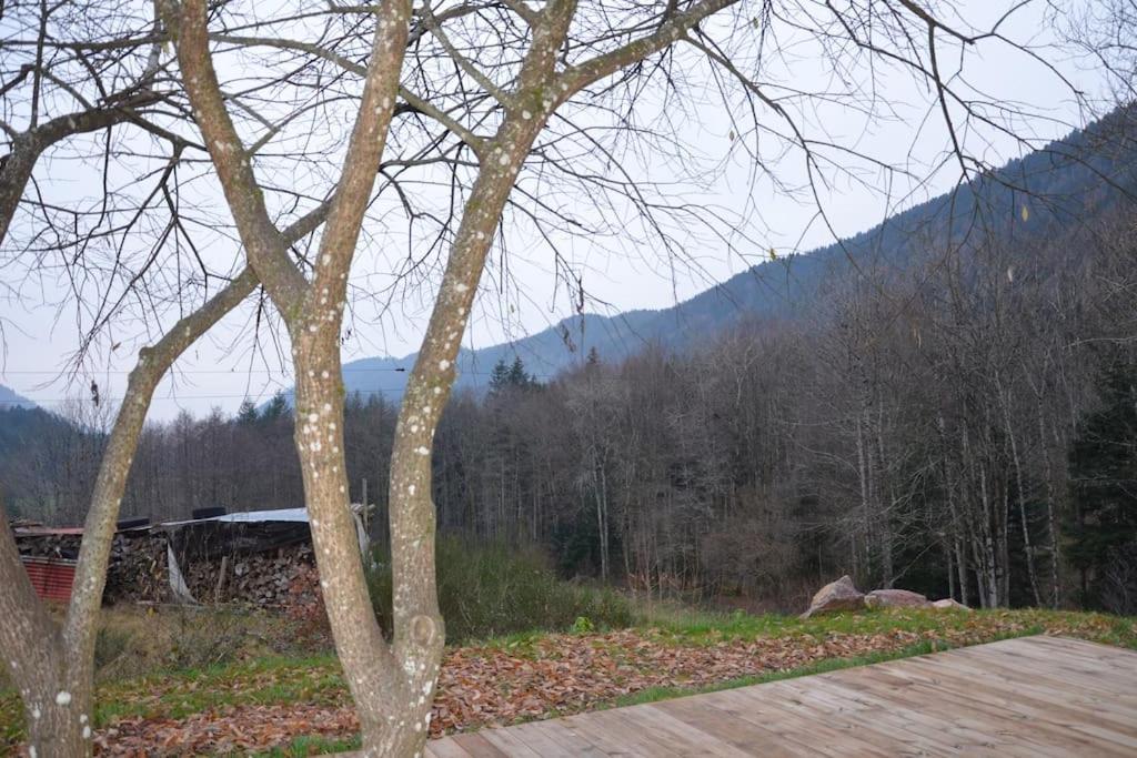 Villa A La Cheneau Rochesson Exterior foto